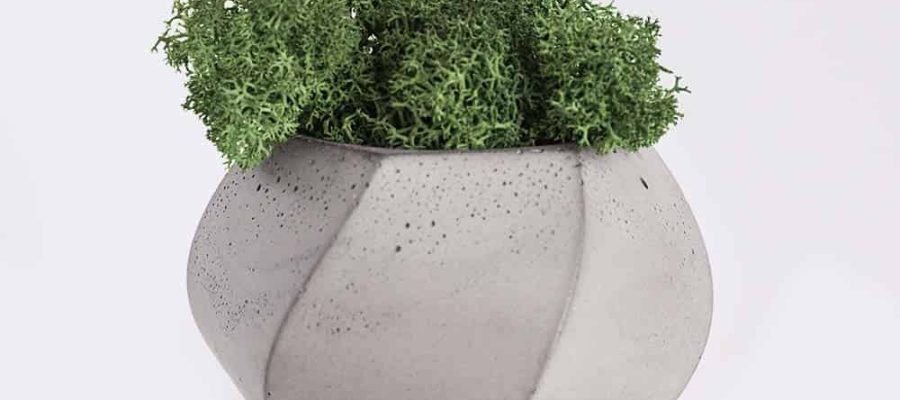 plant4-free-img